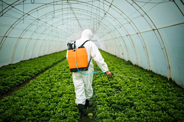 Pest Control Cost in Beesleys Point, NJ