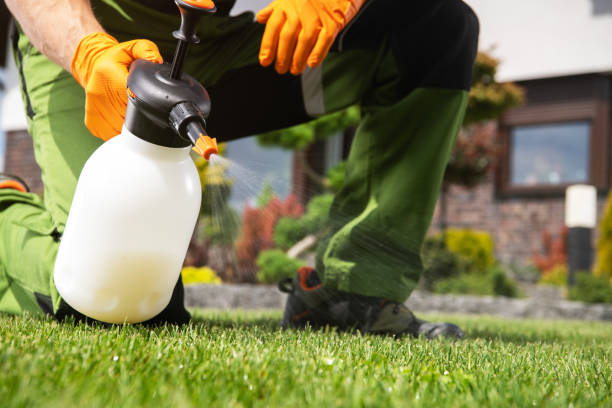 Professional Pest Control in Beesleys Point, NJ