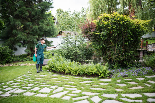 Best Pest Prevention Services  in Beesleys Point, NJ
