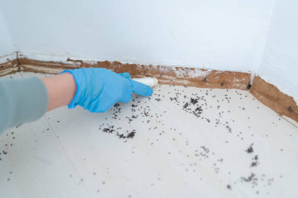 Wildlife Control Services in Beesleys Point, NJ